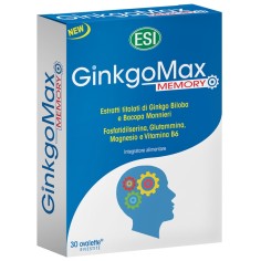GinkgoMax memory