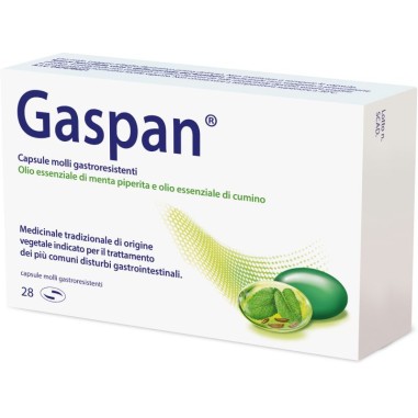 Gaspan Farmaco Tradizionale di Origine Vegetale 28 Capsule