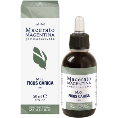 MG Ficus Carica Erboristeria Magentina