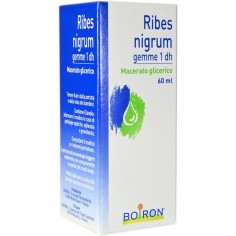 Macerato Glicerico Ribes Nigrum