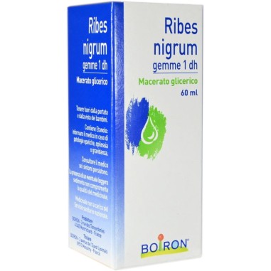 Macerato Glicerico Ribes Nigrum