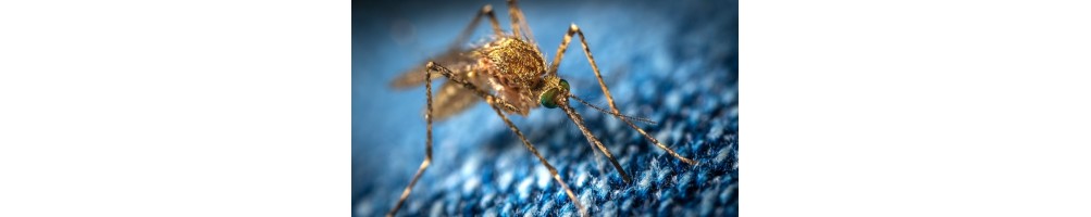 Antiparassitari ed insetto repellenti